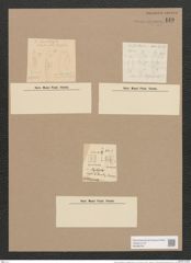 Navicula lanceolata var. phyllepta (Kuetz.) V.H. (de-Toni-Nr.: Genus 1, Species 141) Zeichnungen Sammlung Grunow Nr. 449 (NHMW-BOT-W0366769)